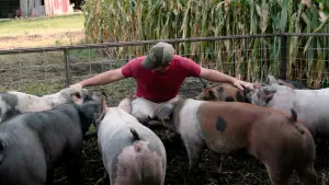 Backdrop to the movie "Food, Inc. 2" #476242