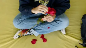 Backdrop to the movie "he loves me, he loves me not" #367062