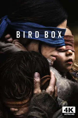 Poster to the movie "Bird Box" #65566