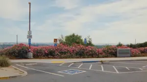 Backdrop to the movie "Zodiac Killer Project" #780235