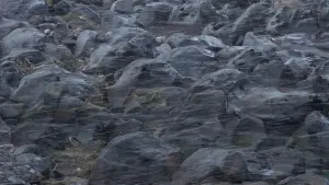 Backdrop to the movie "Until the Stones Speak" #430573