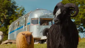Backdrop to the movie "The Sheep Detectives" #813577