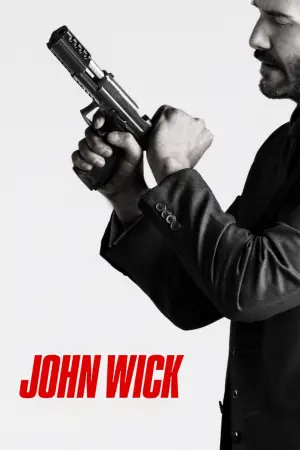 Poster to the movie "John Wick" #526083