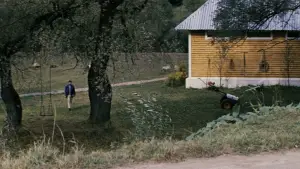 Backdrop to the movie "Solaris" #731583