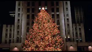 Backdrop to the movie "Home Alone 2: Lost in New York" #567129