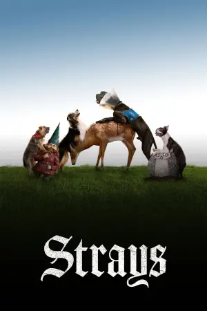 Poster to the movie "Strays" #734721