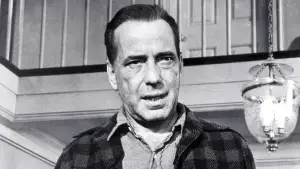 Backdrop to the movie "The Desperate Hours" #719493