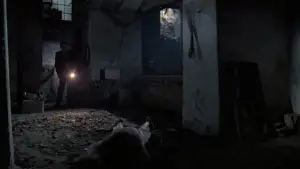 Backdrop to the movie "Revenge of the Dead" #717926