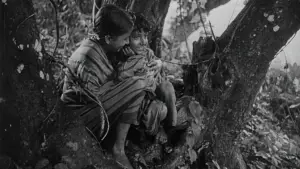 Backdrop to the movie "Pather Panchali" #751195