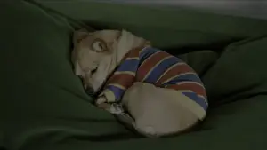 Backdrop to the movie "Come See Me in the Good Light" #783490