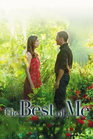 Poster to the movie "The Best of Me" #733063