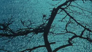 Backdrop to the movie "The Sacrifice" #755216