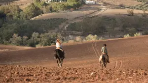 Backdrop to the movie "Windstorm 3" #423741