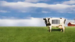 Backdrop to the movie "Food, Inc." #496024