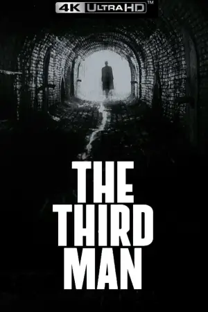 Poster to the movie "The Third Man" #700037