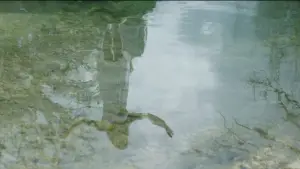 Backdrop to the movie "Endless Land" #780814