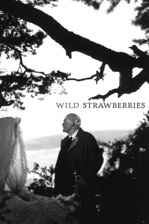 Poster to the movie "Wild Strawberries" #693421