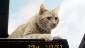 Backdrop to the movie "Captain Marvel" #573674