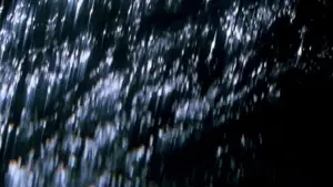 Backdrop to the movie "Comingled Containers" #706792