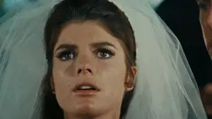 Backdrop to the movie "The Graduate" #672715