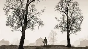 Backdrop to the movie "Tyrannosaur" #230408