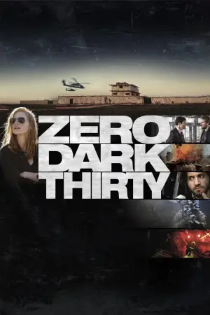 Poster to the movie "Zero Dark Thirty" #811134
