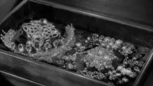 Backdrop to the movie "Ninotchka" #716306