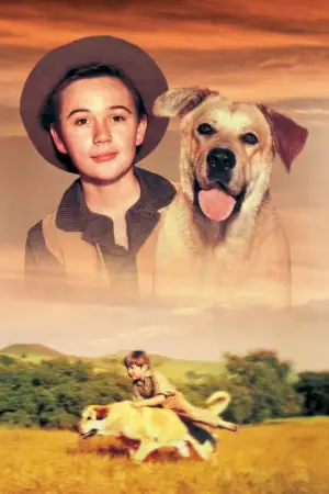 Poster to the movie "Old Yeller" #714614