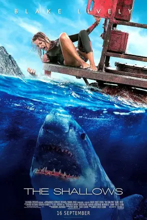 Poster to the movie "The Shallows" #737149