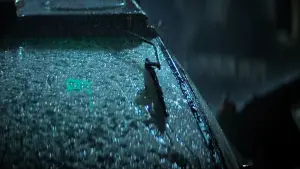 Backdrop to the movie "Blade Runner" #563441