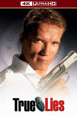 Poster to the movie "True Lies" #805374