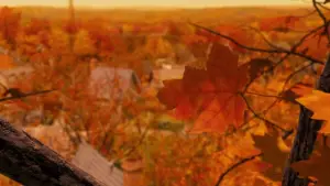 Backdrop to the movie "Monster House" #701319