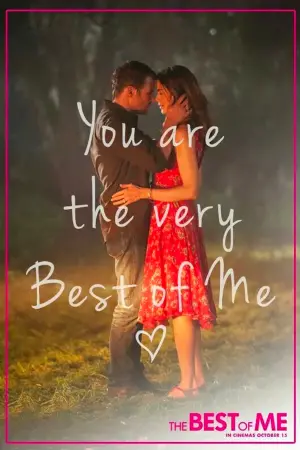 Poster to the movie "The Best of Me" #214289