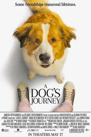 Poster to the movie "A Dog