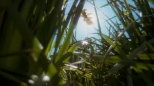 Backdrop to the movie "Adaptation." #671068