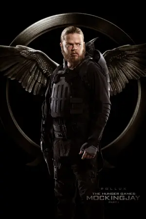 Poster to the movie "The Hunger Games: Mockingjay - Part 1" #566877