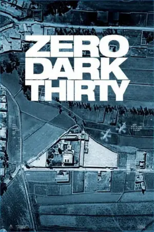 Poster to the movie "Zero Dark Thirty" #811130