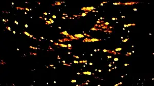 Backdrop to the movie "Five Camera Rehearsals of a Solstice" #575886