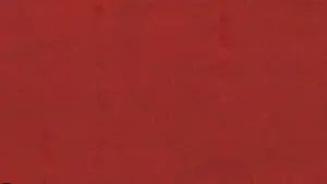 Backdrop to the movie "Wild at Heart" #245070