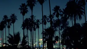 Backdrop to the movie "Palm" #843529