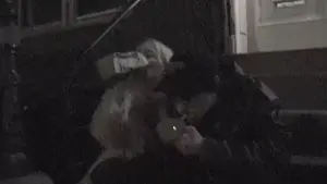 Backdrop to the movie "Castration Movie Anthology ii. The Best of Both Worlds" #637925