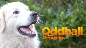 Backdrop to the movie "Oddball" #732742