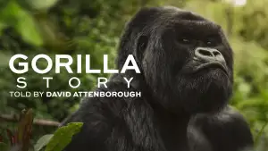 Backdrop to the movie "A Gorilla Story: Told by David Attenborough" #832783