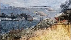 Backdrop to the movie "occupation studies: ngayanhurra bayarral Birrarung" #773179