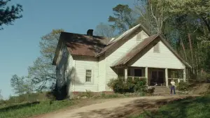 Backdrop to the movie "The Devil All the Time" #713599