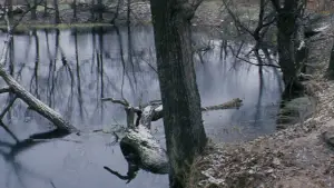 Backdrop to the movie "Solaris" #731571