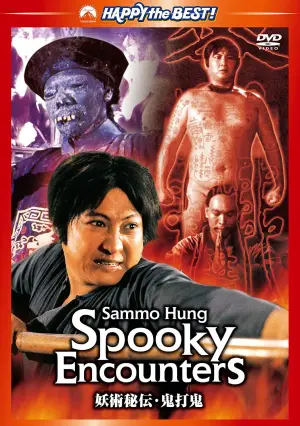 Poster to the movie "Encounter of the Spooky Kind" #942973