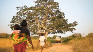 Backdrop to the movie "African Territory 2" #420654