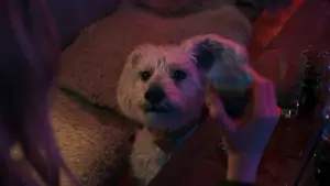 Backdrop to the movie "Supergirl" #605179