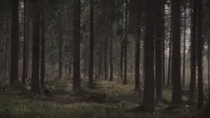 Backdrop to the movie "24hours" #543910